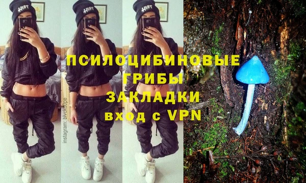мет Горно-Алтайск