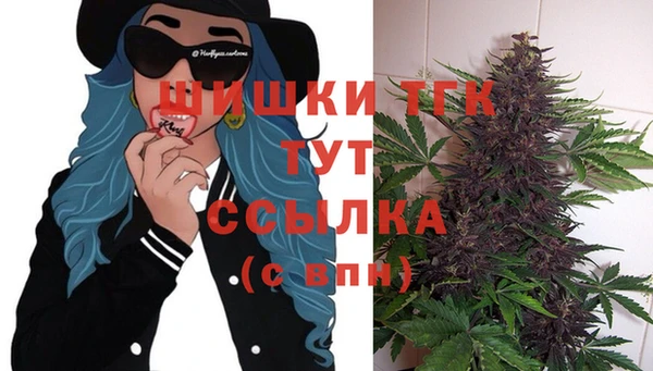 соль ск Горняк